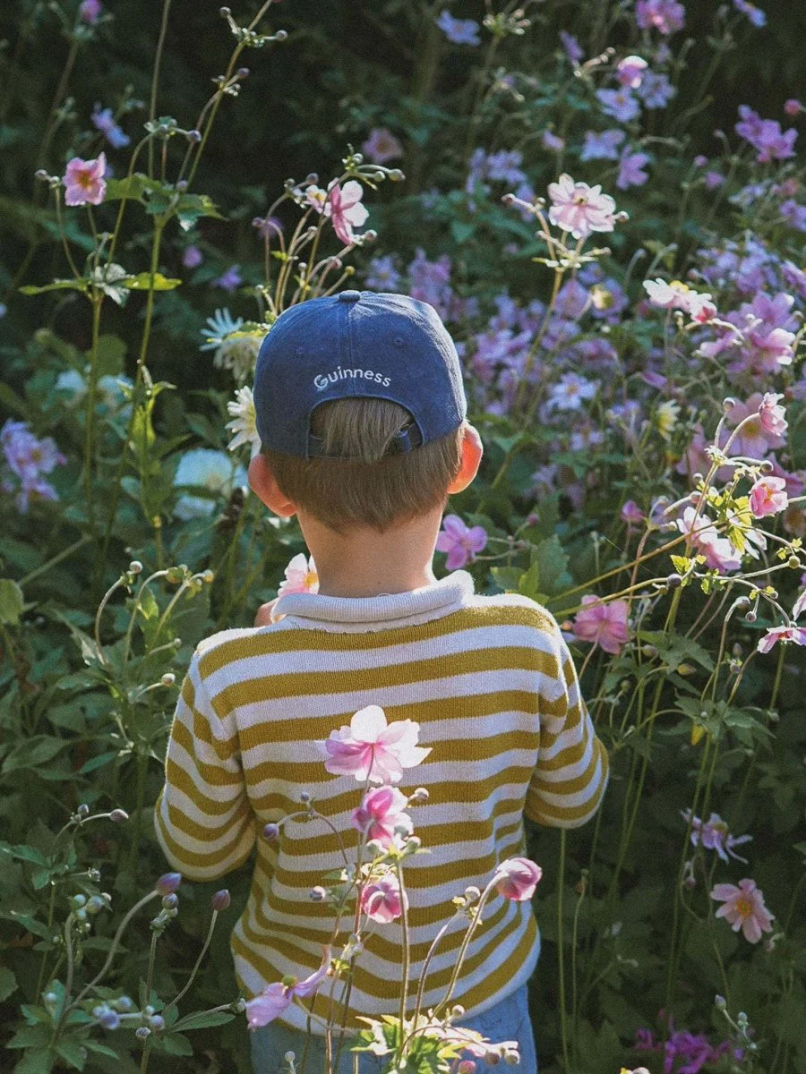 Cat Collection Hat - Image 7